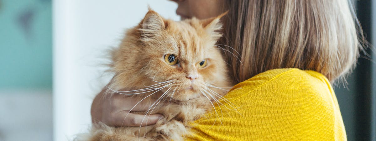 Woman holding a cat